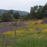 Photo de Espagne - Séville